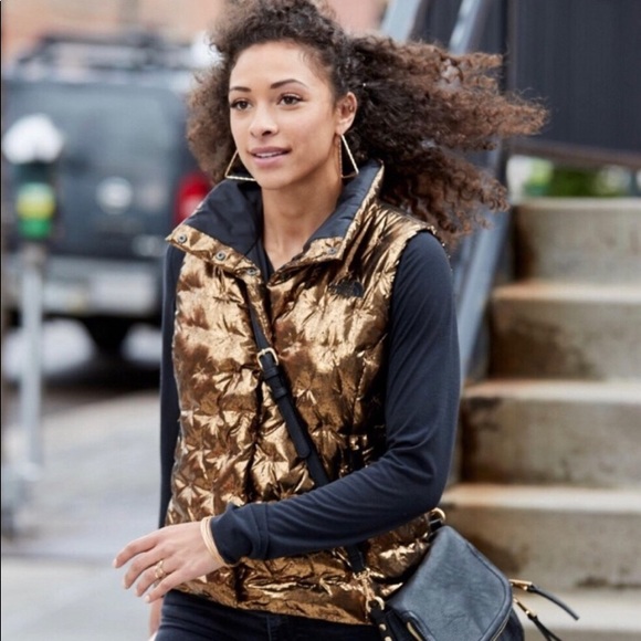 north face women's holladown vest